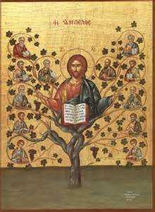 The Vine and the Branches HARMONY IN ALBANIA