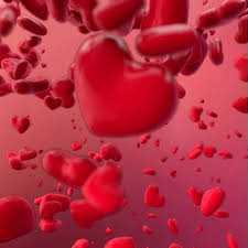 FROM THE HEART The Weekday Word FROM THE HEART The Weekday Word