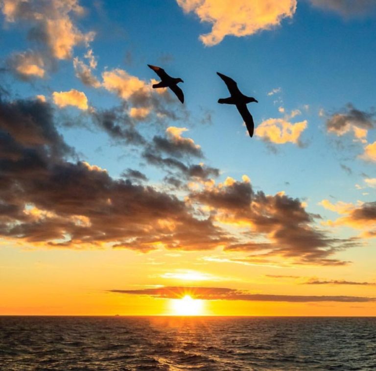 THE HOLY SPIRIT WITHIN US THE HOLY SPIRIT WITHIN US