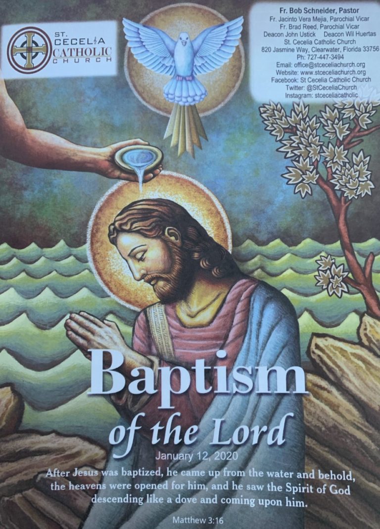 BAPTISM OF JESUS; JESUS TAKES THE PLUNGE INTO HUMANITY BAPTISM OF JESUS; JESUS TAKES THE PLUNGE INTO HUMANITY